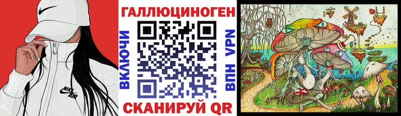 OMG tor  Киреевск  Галлюциногенные грибы MAGIC MUSHROOMS 